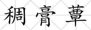 稠膏蕈