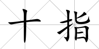 十指