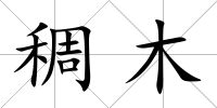 稠木