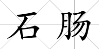 石腸