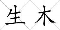 生木