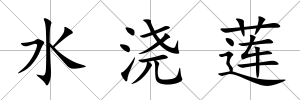 水澆蓮