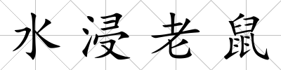 水浸老鼠