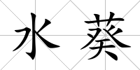 水葵