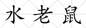 水老鼠
