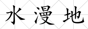 水漫地