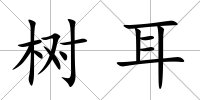 樹耳