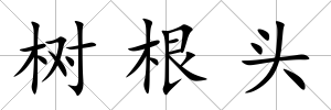 樹根頭