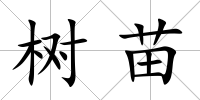 樹苗