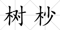 樹杪