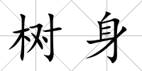 樹身