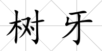 樹牙