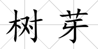 樹芽