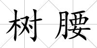 樹腰