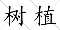 樹植