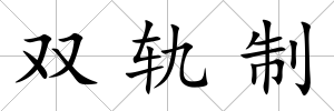 雙軌制