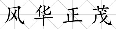 風華正茂