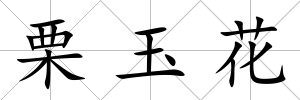 栗玉花