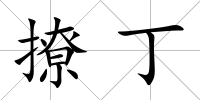 撩丁