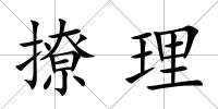 撩理