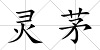 靈茅