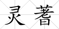 靈蓍