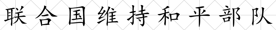 聯合國維持和平部隊