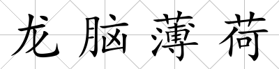 龍腦薄荷