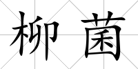 柳菌