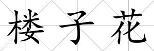 樓子花