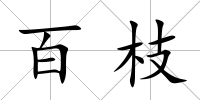 百枝