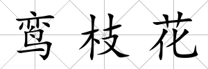 鸞枝花