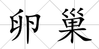 卵巢