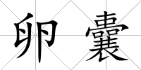卵囊