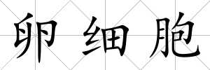卵細胞