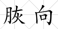 脄向