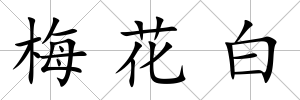 梅花白