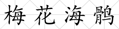 梅花海鶻