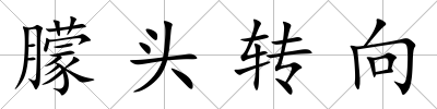 朦頭轉(zhuǎn)向