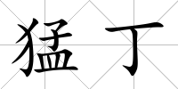 猛丁