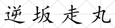 逆坂走丸