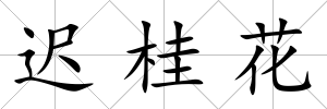 遲桂花