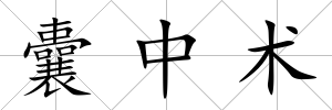 囊中術