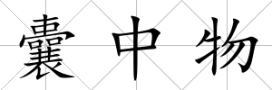 囊中物