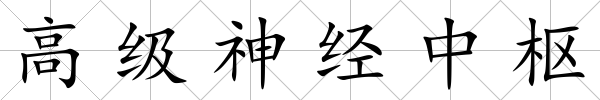 高級(jí)神經(jīng)中樞
