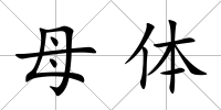 母體