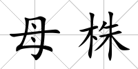 母株