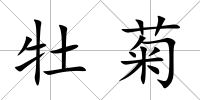 牡菊