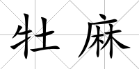 牡麻