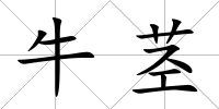 牛莖
